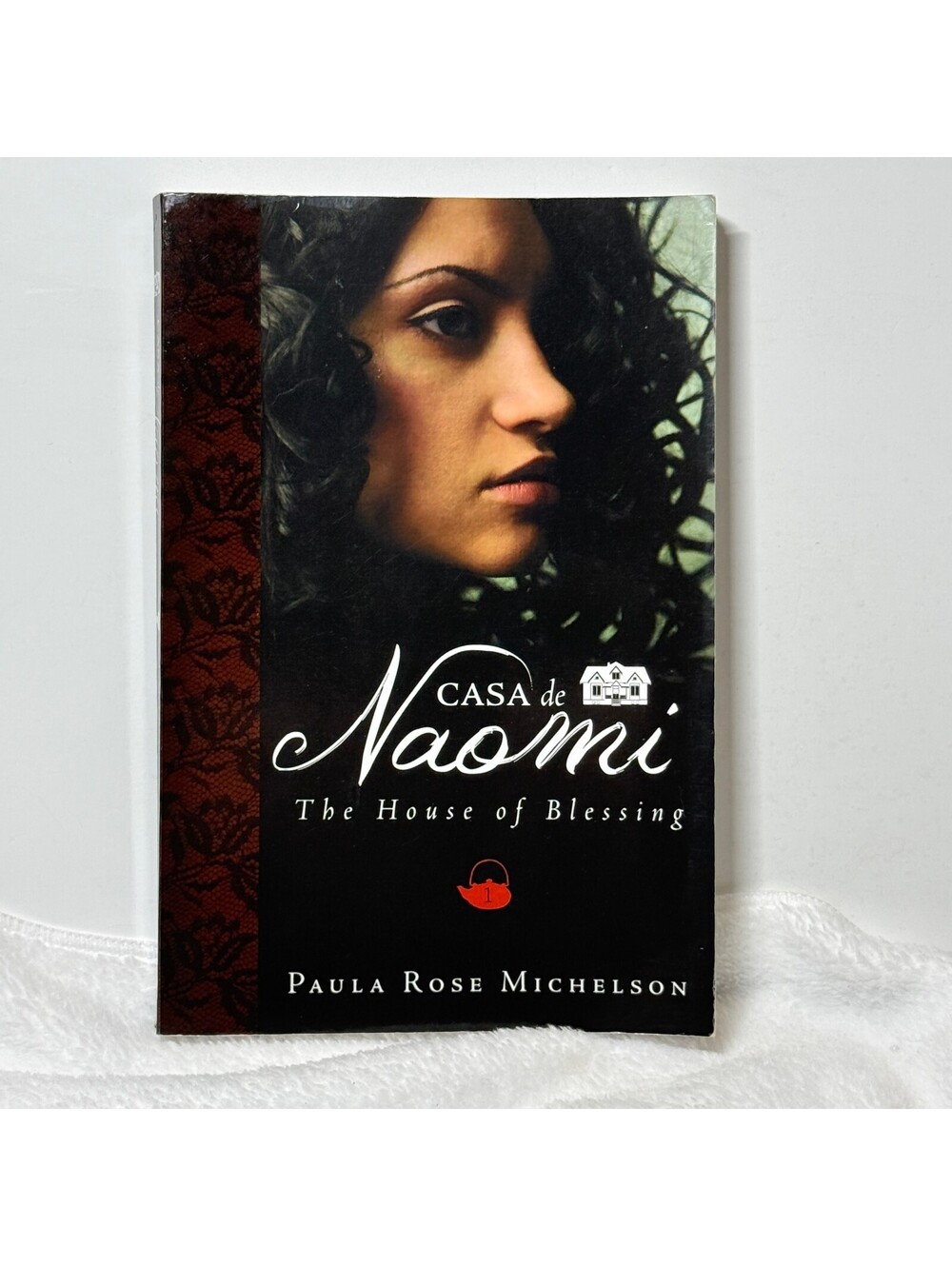 Casa de Naomi The House of Blessing Book 1 Paula Rose Michelson Paperback